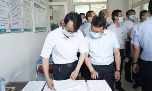 怎么查看光与夜之恋树洞时刻