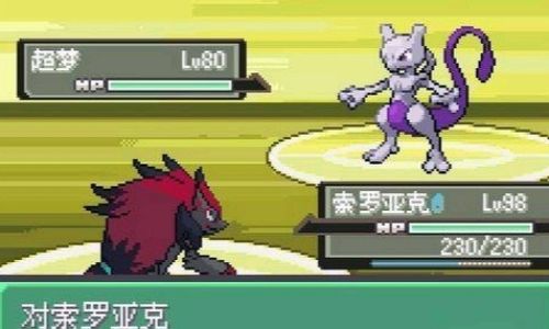 口袋妖怪怎么抓固拉多