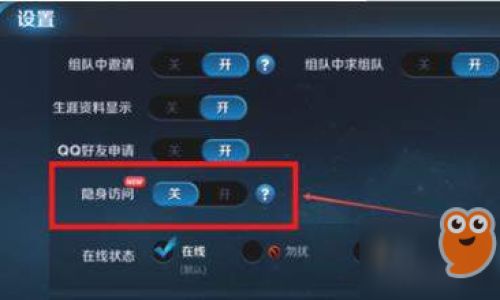 王者荣耀如何开启隐身访问