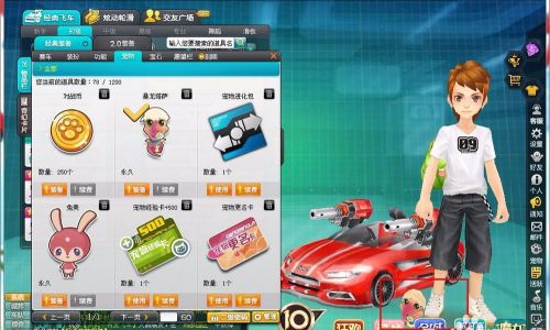 qq飞车什么宠物好