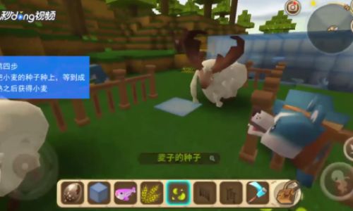 迷你世界怎么养猪养羊