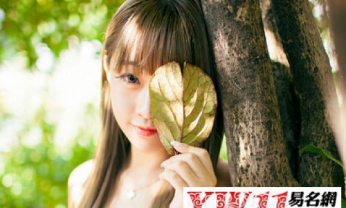 好听的带符号网名