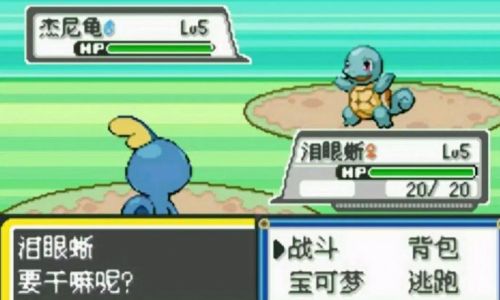 口袋妖怪如何自己做精灵