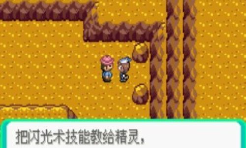 口袋妖怪什么能学闪光术