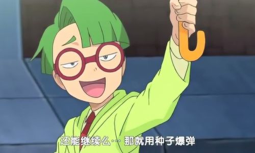 口袋妖怪什么龙不怕妖精