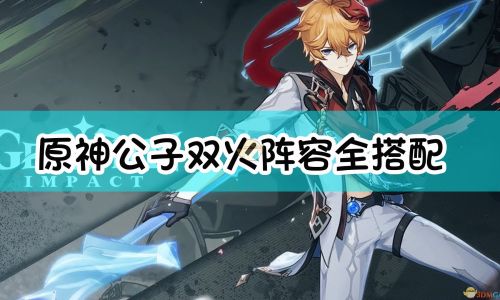 原神什么组合伤害高