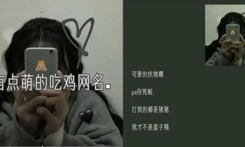 吃鸡网名大全