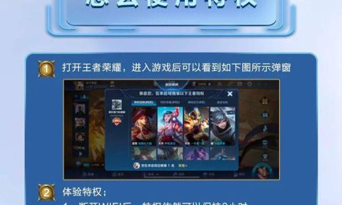 王者荣耀如何查看商户特权