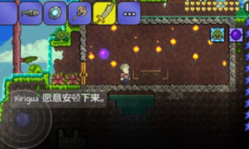 泰拉瑞亚巫医不卖翅膀是什么原因