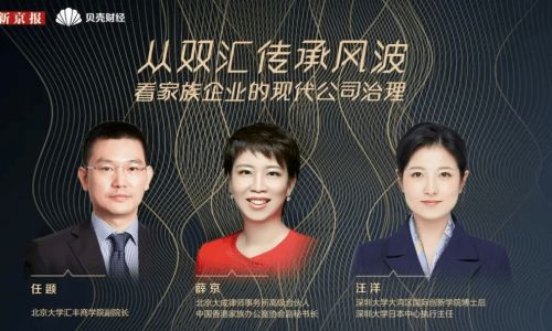 凌云诺如何选择家族