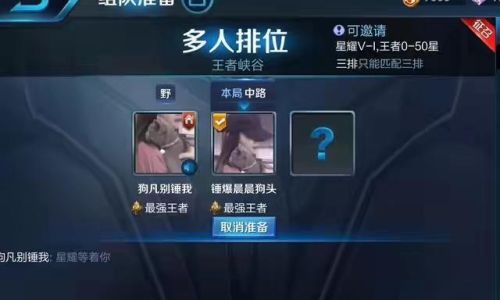 王者荣耀二字情侣id