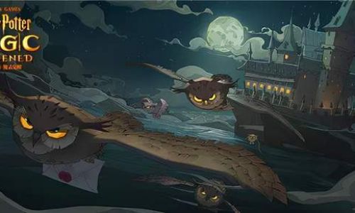 哈利波特魔法觉醒小号有什么用