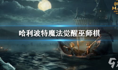 哈利波特魔法觉醒小号有什么用