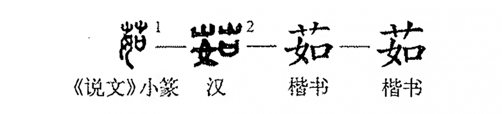 茹