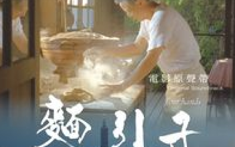面引子