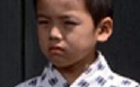 梦