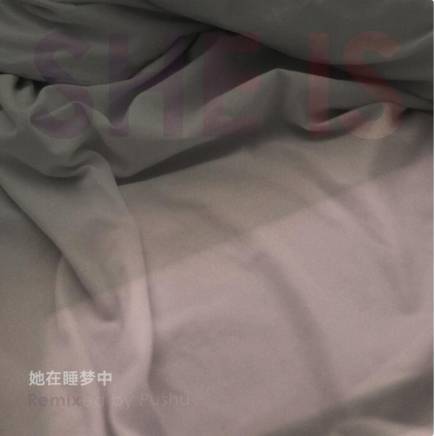 朴树