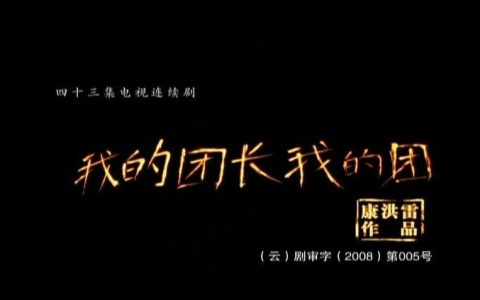 我的团长我的团