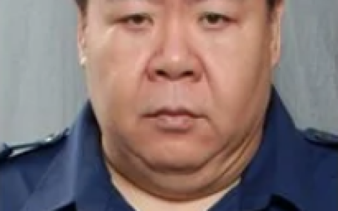 老友狗狗