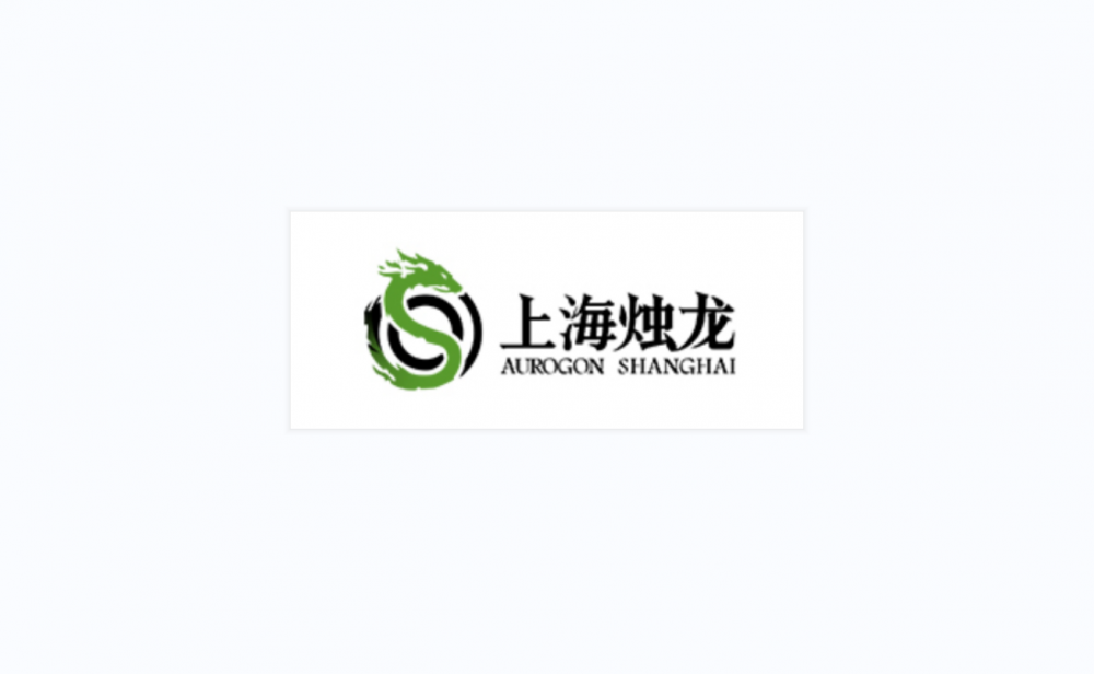 上海烛龙信息科技有限公司
